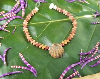 Sunrise Shell Bracelet Shell Bracelet Puka Shell Jewelry Natural Shell Bracelet Kahelelani Shell Jewelry Kauai Sunrise Shells Sunrise Shell