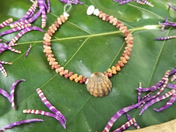 Sunrise Shell Bracelet Shell Bracelet Puka Shell Jewelry Natural Shell Bracelet Kahelelani Shell Jewelry Kauai Sunrise Shells Sunrise Shell