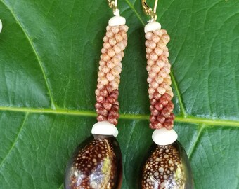 Hawaiian Cowrie Shell Earrings Kauai Kahelelani Shell Earrings Eco Friendly Island Earrings Authentic Kauai Kahelelani Shells Rare Shells