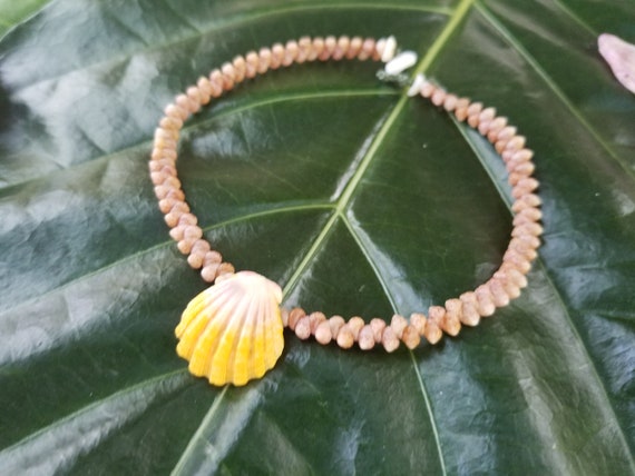 Kahalelani Shell Sunrise Shell Puka Shell Anklet Beach Anklet Natural Shell Jewelry Hawaii Jewelry Kauai Kahelelani Shell Niihau Shell
