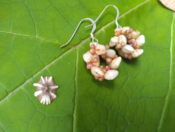 Shell Earrings Kauai Shell Earrings Hawaiian Shell Earrings Hoop Earrings Rare Momi Kahelelani Shells Niihau Shells from Kauai Shell Jewelry