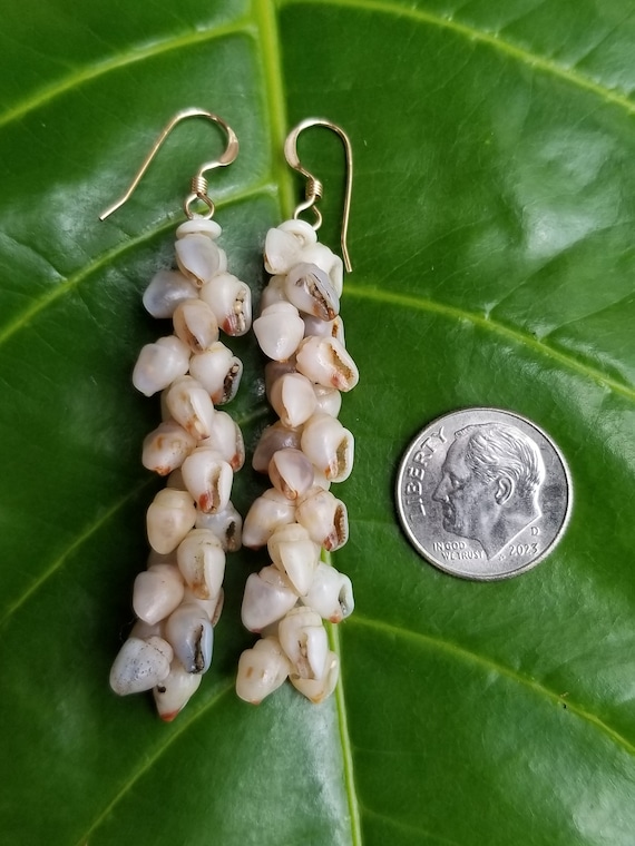 Momi Shell Earrings: 2' Inch, Kauai Gray Momi Shells, Gold Filled, Hawaiian Jewelry