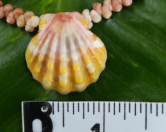Sunrise Shell Lei: 18' inch, Kauai Kahelelani Shells, 14kt Gold Clasp, Langford Pectin Shell,  Kauai Handmade Niihau Shell Necklace