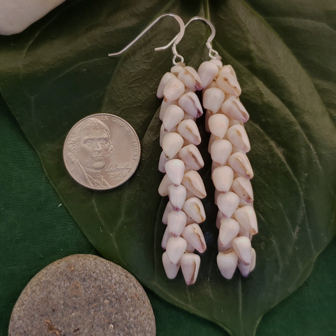 Shell Earrings Hawaiian Style Jewelry Eco Friendly Collected Kauai Shells Kauai Mermaids