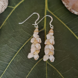 Shell Earrings Kauai Shell Earrings Hawaiian Shell Kauai Ni&#39;ihau Shells Momi Shells Kahelelani Shells Kauai Beach Shell Hawaiian Shells