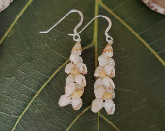 Shell Earrings Kauai Shell Earrings Hawaiian Shell Kauai Ni'ihau Shells Momi Shells Kahelelani Shells Kauai Beach Shell Hawaiian Shells