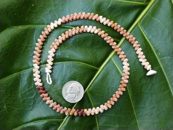 Shell Jewelry Shell Necklace Shell Lei Rare Shells Puka Shell Jewelry Shells Kauai Shell Necklace Hawaii Shell Jewelry Kahelelani Shell Lei