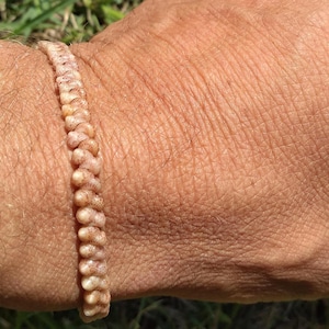 Kahelelani Shell Bracelet Kahelelani Shell Jewelry - Rare Shells - Kauai Shell Bracelet -Rare Shells Beach Bracelet Eco Freindly Rare Shells