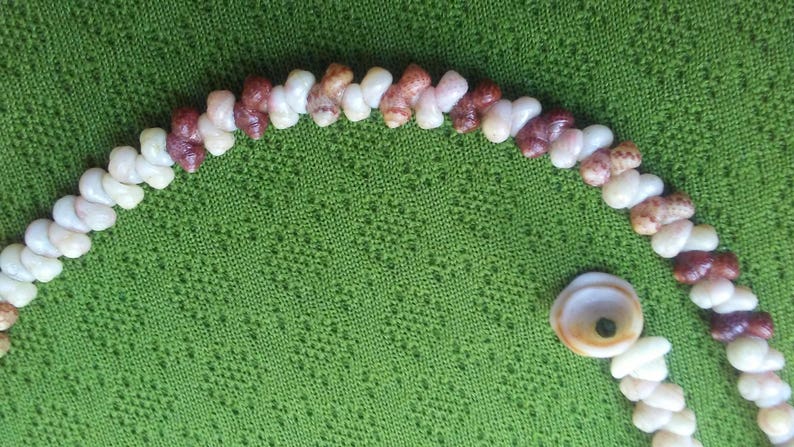 Kauai Necklace Shell Lei Shell Necklace Shell Necklace Beach Jewelry Hawaii Shell Jewelry Rare Shells Kauai Shells