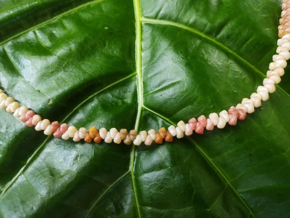 Shell Jewelry Shell Necklace Shell Lei Rare Shells Puka Shell Jewelry Shells Kauai Shell Necklace Hawaii Shell Jewelry Kahelelani Shell Lei
