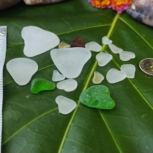 May include: A collection of sea glass pieces in various shapes and sizes, including clear, green, and amber hues. A measuring tape shows the pieces are approximately 1 to 2 inches in size. The sea glass is arranged on a large green leaf.