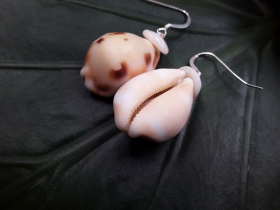 Shell Earrings Cowrie Shell Earrings Puka Shell Earrings Shells Authentic Kauai Shell Jewelry Hawaiian Seashell Earrings Checkered Cowrie