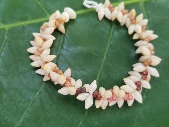Kahelelani Shell Bracelet Laike Shell Bracelet Kauai Art Shell Jewelry Natural Eco Friendly Hand Picked Shells Niihau Shells Collected Kauai