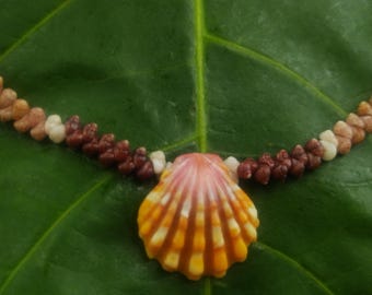 Sunrise Shell Lei: Kauai Kahelelani Shells, Sunrise Shell, Puka Shells, Hawaii Shells Beach Jewelry, Eco-Friendly Collected Rare Shells