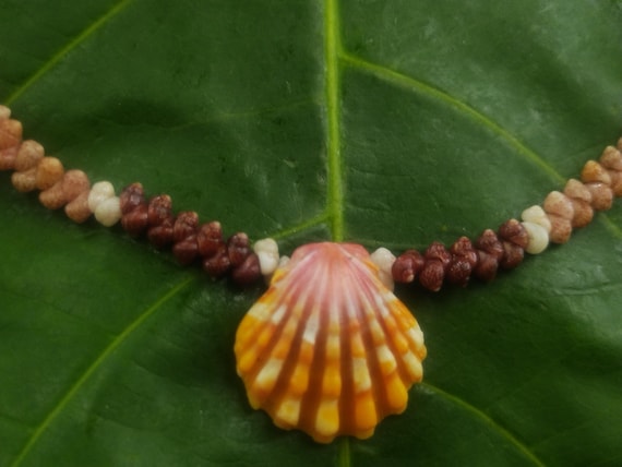 Sunrise Shell Lei: Kauai Kahelelani Shells, Sunrise Shell, Puka Shells, Hawaii Shells Beach Jewelry, Eco-Friendly Collected Rare Shells