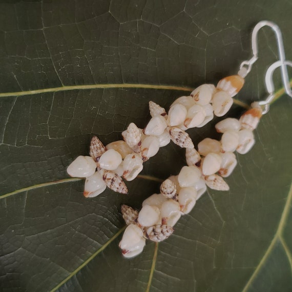 Shell Earrings Kauai Momi Shell Earrings Hawaii Shell Earring Momi Shells Kahelelani Shells Kauai Beach Shell Hawaiian Momi Ni'ihau Shell