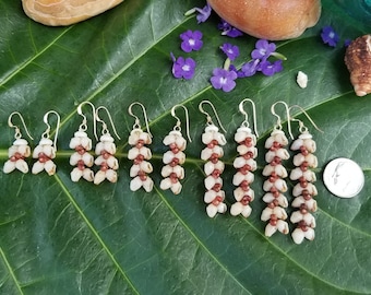 Shell Earrings Kauai Kahelelani Shell Earrings Hawaiian Momi Shell Earrings Momi Shells Kahelelani Shells Kauai Momi Beach Shells Rare Shell