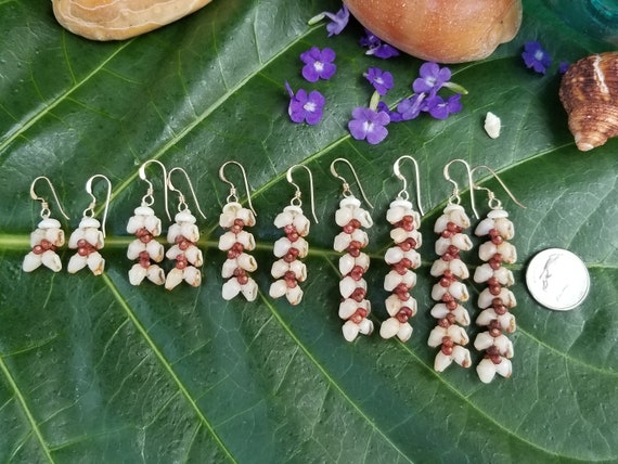 Shell Earrings Kauai Kahelelani Shell Earrings Hawaiian Momi Shell Earrings Momi Shells Kahelelani Shells Kauai Momi Beach Shells Rare Shell