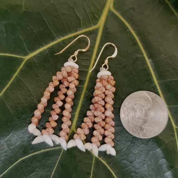 Shell Earrings Kahelelani Shell Earrings Hawaii Shell Jewelry Kauai Eco Friendly Collected Kauai Shells Island Jewelry Beach Earrings