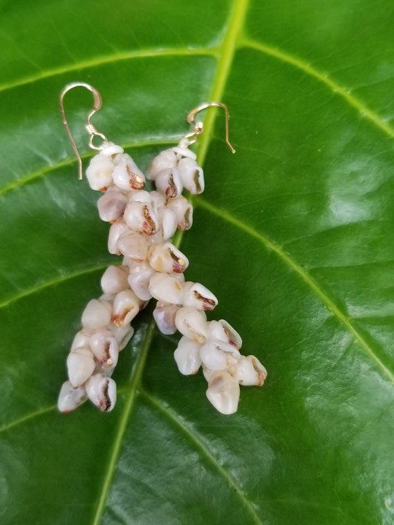 Shell Earrings Kauai Shell Earrings Hawaiian Shell Earring Traditional Weave Momi Shells Kahelelani Shells Kauai Beach Shell Hawaiian Shells