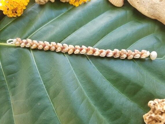 Momi Shell Bracelet Kahelelani Shell Bracelet Traditional Hawaiian Shell Jewelry Eco-Friendly Collected Kauai Kahelelani Shells Aloha Shells