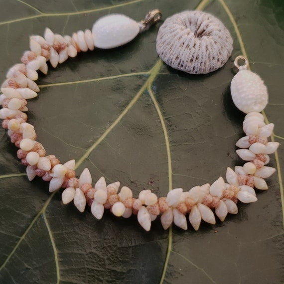 Kahelelani Shell Bracelet Laike Shell Bracelet Kauai Art Shell Jewelry Natural Eco Friendly Hand Picked Shells Niihau Shells Collected Kauai