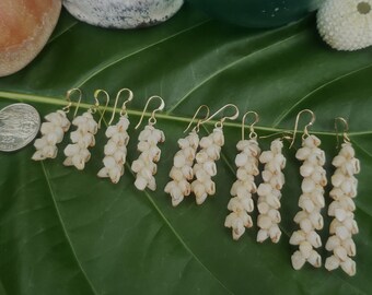 Niihau Shell Earrings: Kauai Momi Shells, Gold Filled Wires