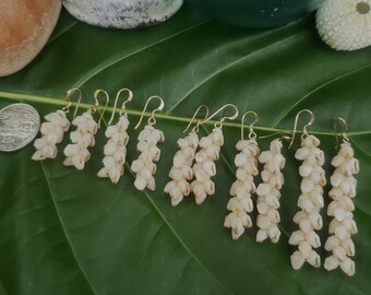 Shell Earrings Kauai Shell Earrings Hawaii Shell Earring Momi Shell Kahelelani Shell Kauai Shell Hawaiian Shell Niihau Earrings Niihau Shell