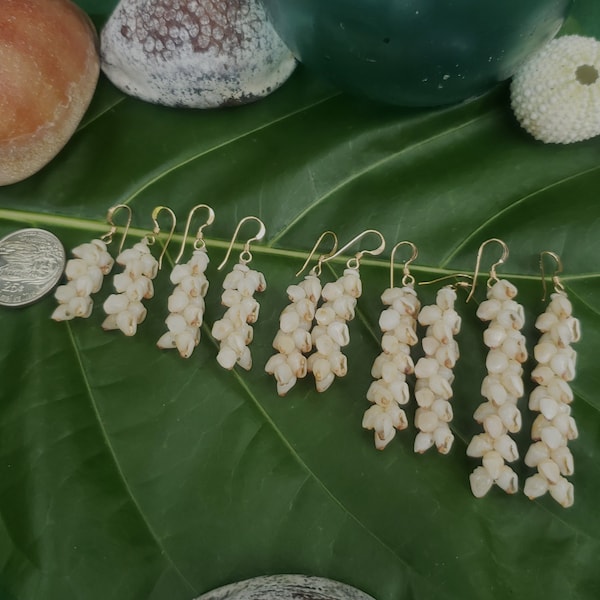 Shell Earrings Kauai Shell Earrings Hawaii Shell Earring Momi Shell Kahelelani Shell Kauai Shell Hawaiian Shell Niihau Earrings Niihau Shell