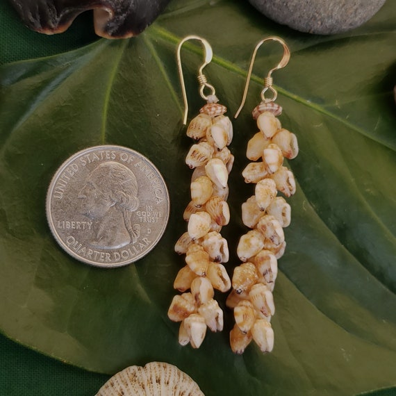 Shell Earrings Kauai Shell Earrings Hawaiian Shell Earring Traditional Weave Momi Shells Kahelelani Shells Kauai Beach Shell Hawaiian Shells