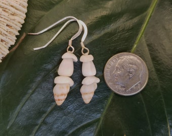 Shell Earrings Rare Hawaiian Shell Jewelry Kauai-Eco Friendly Collected Beach Shells Island Earrings Beach Jewelry Puka Shell Earrings Shell