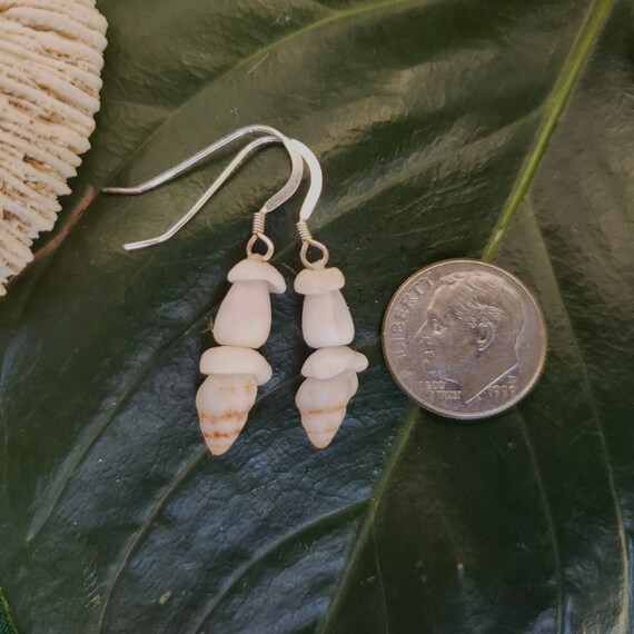 Shell Earrings Rare Hawaiian Shell Jewelry Kauai-Eco Friendly Collected Beach Shells Island Earrings Beach Jewelry Puka Shell Earrings Shell