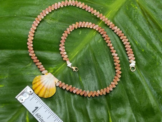 Sunrise Shell Lei: 17.5' inch, Kauai Kahelelani Shells,  14kt Gold Clasp, Langford Pectin Shell,  Kauai Handmade Niihau Shell Necklace