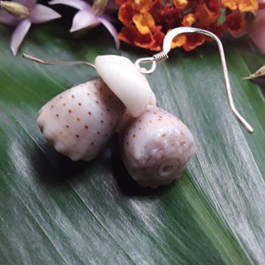 May include: A pair of shell earrings with silver hooks. The shells are a light brown color with white and brown spots. The earrings are on a green leaf background.