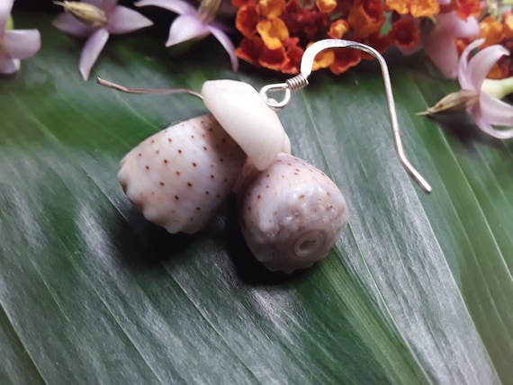 Puka Shell Earrings Kauai Beach Earrings Kauai Beach Jewelry Eco Friendly Collected Shells Mermaids Tears Surfer Puka Shell Earrings