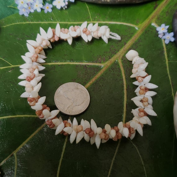 ニイハウシェル　カヘレラニ　ブレスレット　未使用 ニイハウシェル 本格ニイハウシェルブレスレット モミ カヘレラニ