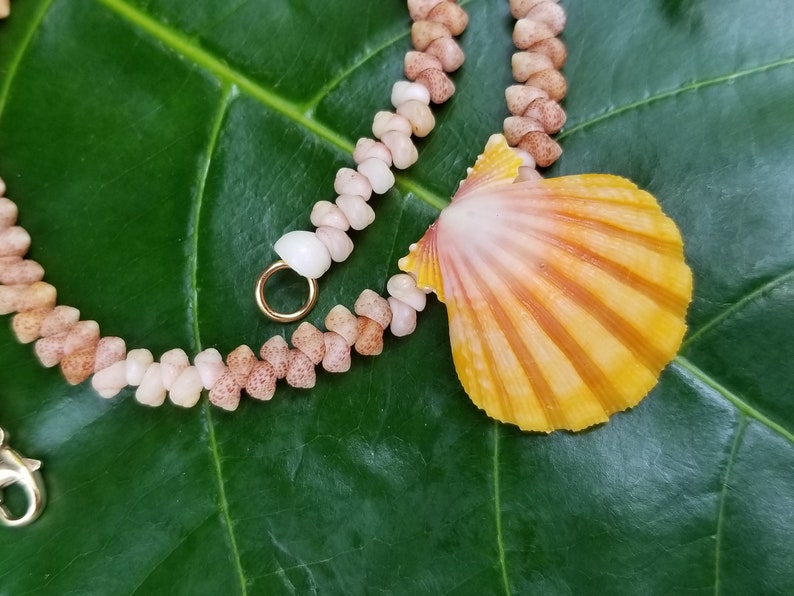 Sunrise Shell Lei Kauai Kahelelani Shell Lei Hawaii Shells Beach Jewelry Eco-Friendly Collected Rare Shells Island Mermaid Sunrise Shell image 3