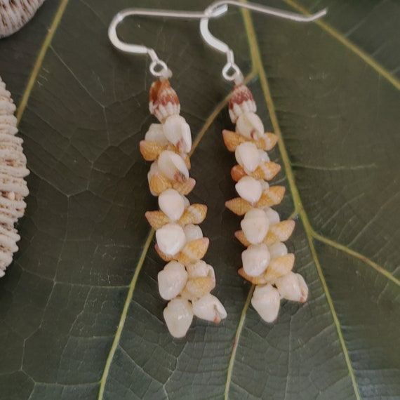 Shell Earrings Kauai Shell Earrings Hawaiian Shell Earring Momi Shells Kahelelani Shells Kauai Ni'ihau Shell Hawaii Endemic Shell Momi Shell