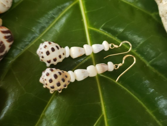 Drupe Shell Earrings Puka Shell Earrings Hawaii Shell Jewelry Kauai Shells Eco Friendly Collected Shells Kauai Shells Jewelry Murex Shells