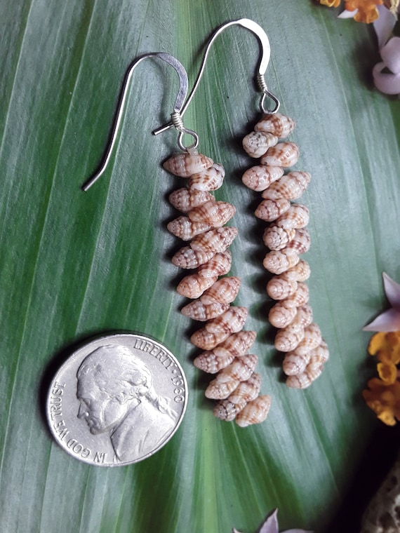 Shell Earrings Hawaiian Earrings Kauai Mermaids Earrings Mermaids Tears Kauai Shell Earrings shell Jewelry Kauai Shells Rare Shell