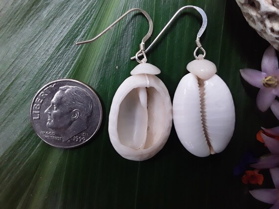 Shell Earrings Hawaii Earrings Kauai Shell Jewelry - Eco Friendly Collected Handmade On Kauai Earrings Mermaids Tears Surfer Girl Gift Aloha
