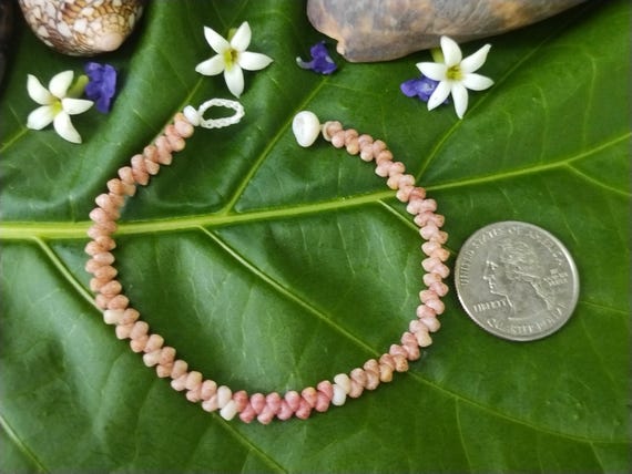 Shell Bracelet Kauai Kahelelani Shell Bracelet Eco Friendly Natural Kauai Niihau Shell Hawaiian Shell Jewelry Rare Shells Shell Jewelry