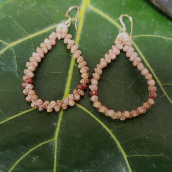 Seashell Earrings Kauai Kahelelani Earrings Hoop Earrings Authentic Kauai Kahalelani Shells Jewelry Hoop Earrings Kahelelani Niihau Shell