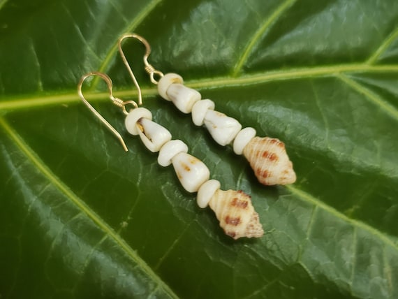 Drupe Shell Earrings Puka Shell Earrings Hawaiian Shell Jewelry Kauai Shells Eco Friendly Collected Shells Island Jewelry Rare Shells