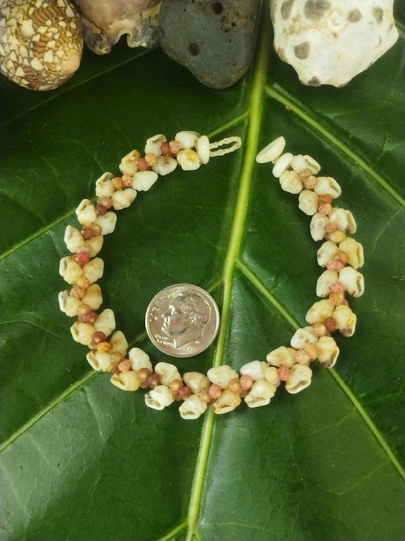 Momi Shell Bracelet Momi Kahelelani Shell Bracelet Hawaiian Shell Jewelry Kauai Eco-Friendly Collected Shells Kauai Shells Rare Shells Aloha
