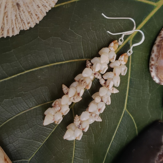 Momi Shell Earrings Kauai Shell Earrings Hawaiian Shell Earrings Momi Shells Kahelelani Shells Kauai Beach Shell Hawaiian Momi Shells