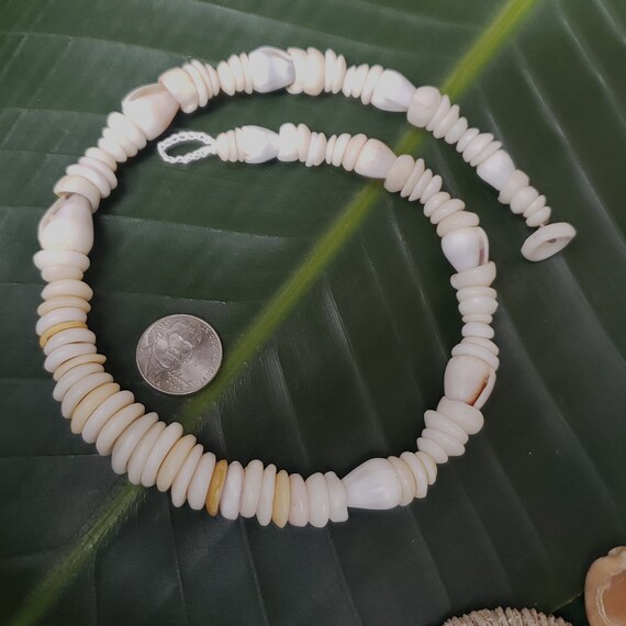 Puka Shell Necklace Puka Shell Lei Kauai Puka Shell Jewelry Rare Shells Kauai Made Hawaiian Style Gathered Eco Freindly Collected Shells