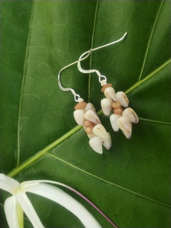 Shell Earrings Kahelelani Shell Earrings Hawaiian Shell Jewelry Kauai Eco Friendly Collected Kauai Shells Island Jewelry Beach Earrings