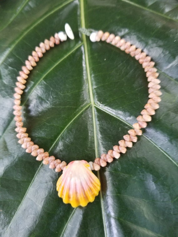 Sunrise Shell Anklet Puka Shell Kahelelani Shell Anklet Natural Beach Anklet Natural Shell Jewelry HawaiiJewelry Kauai Kahelelani Shell