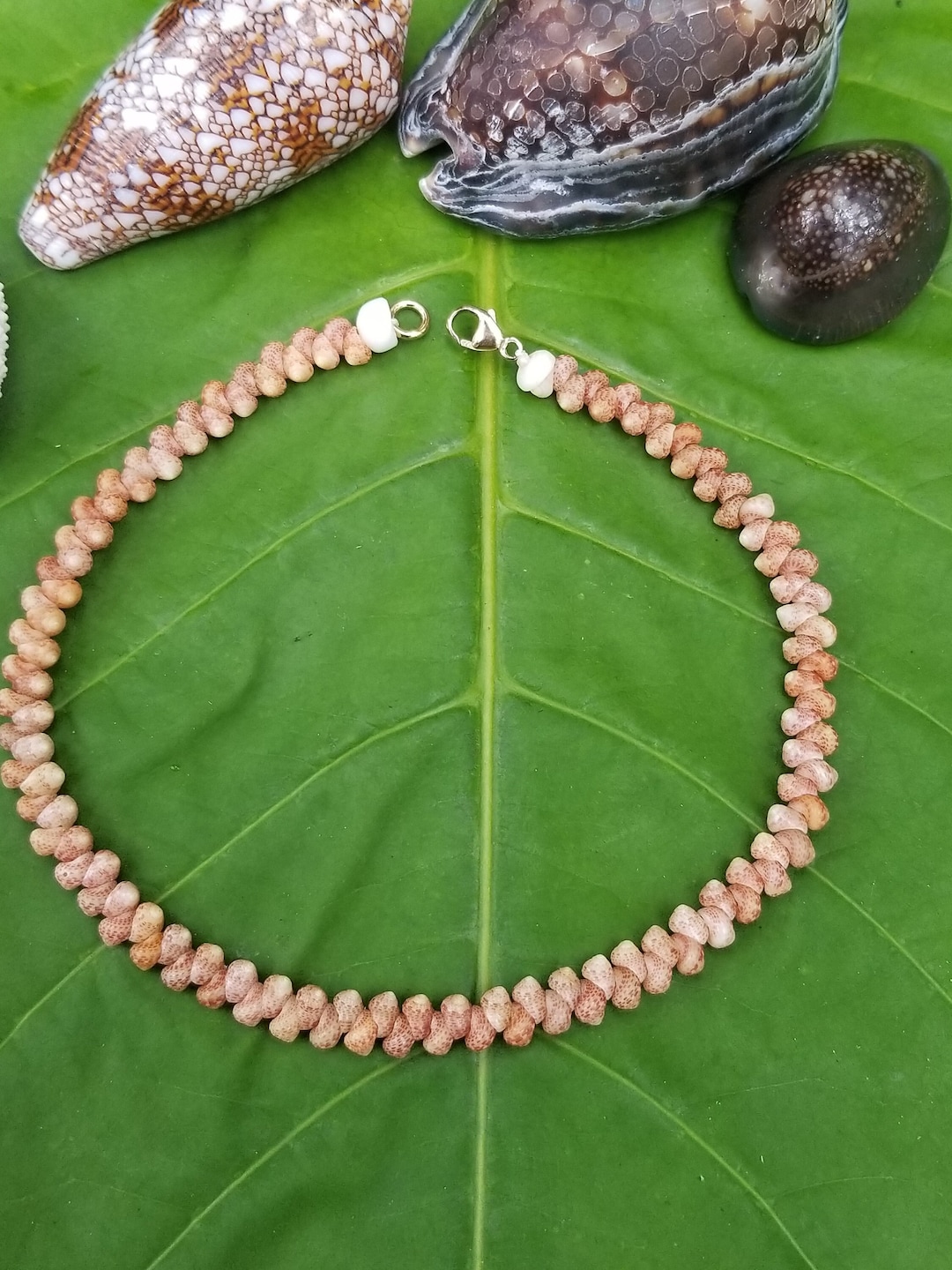 カヘレラニシェルのアンクレット カヘレラニシェルアンクレット：希少なニイハウシェル、14カラット